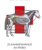 Julie von Bismarck - Zusammenhänge im Pferd Teil I