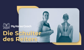 Die Schulter des Reiters