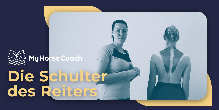 Die Schulter des Reiters
