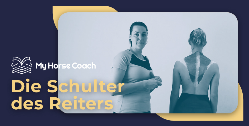 Die Schulter des Reiters